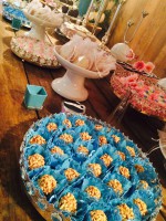 /album/galeria-de-fotos/img-0316-copia-jpg/